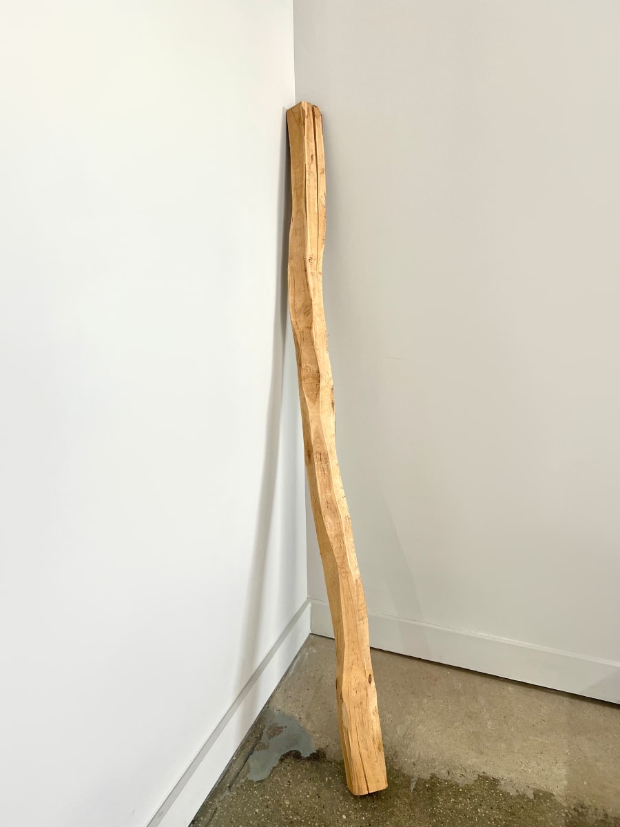 Shadow Branch I by Seth Keller 