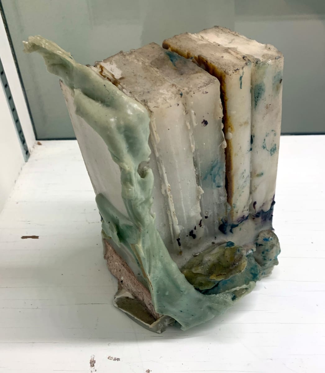 Resin casting by Stella Waitzkin 