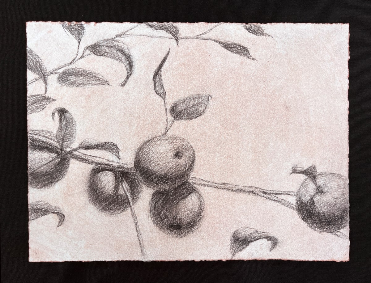Apples by Dana Dale Lee 