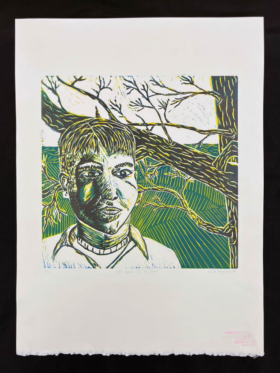 At home in the Trees by Timothy Pomeroy 