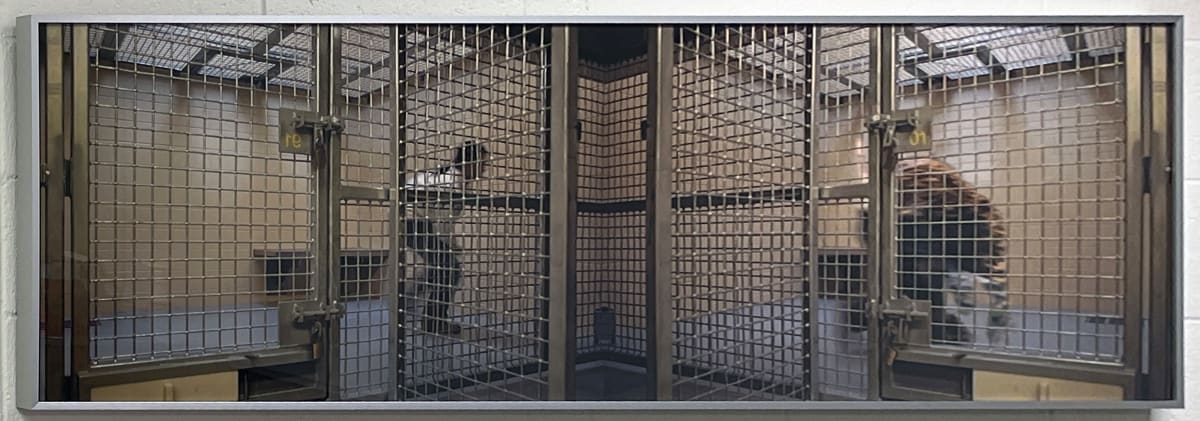 Cage by ChunLok Mah 