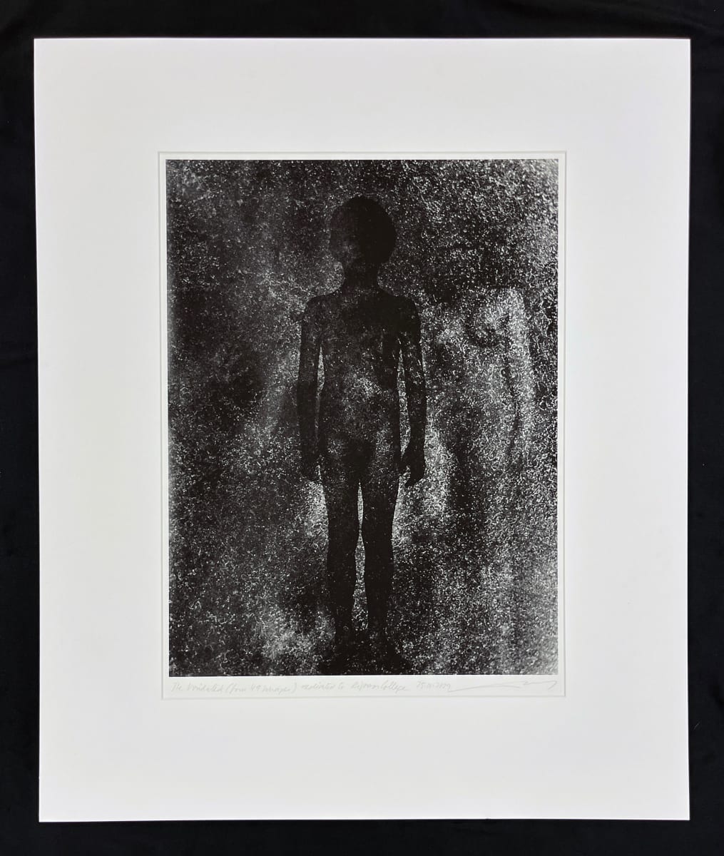The Irradiated by Eva Choung-Fux 