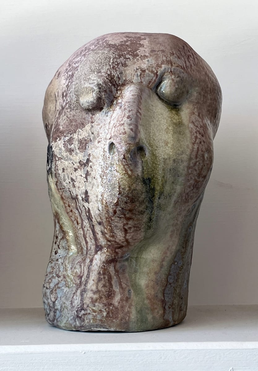 Silent Witness by Mary Bowron 