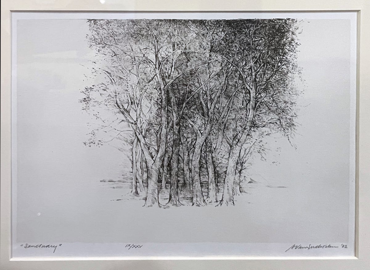 Sanctuary by Adrian Van Suchtelen 