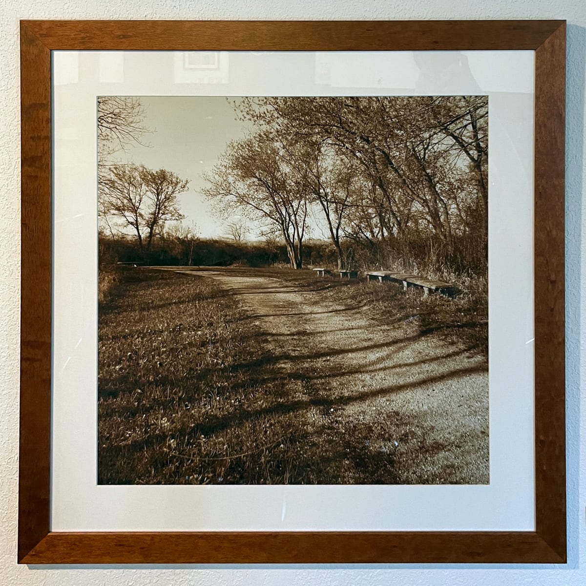Outdoor Classroom in the Ceresco Prairie by Lee Allis Shippey 