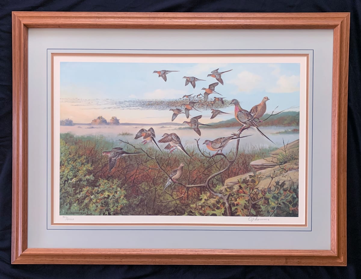 Distant Thunder - Passenger Pigeons by Owen J. Gromme 