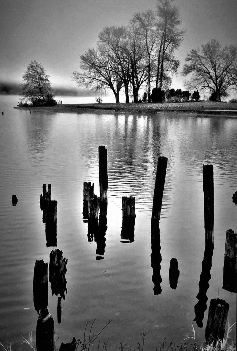 Lake Whatcom from Electric Avenue, Bellingham, WA by Rod Haynes 