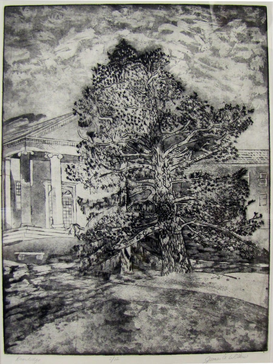 Knowledge by James A. Wilkes, Dr., Image 1.