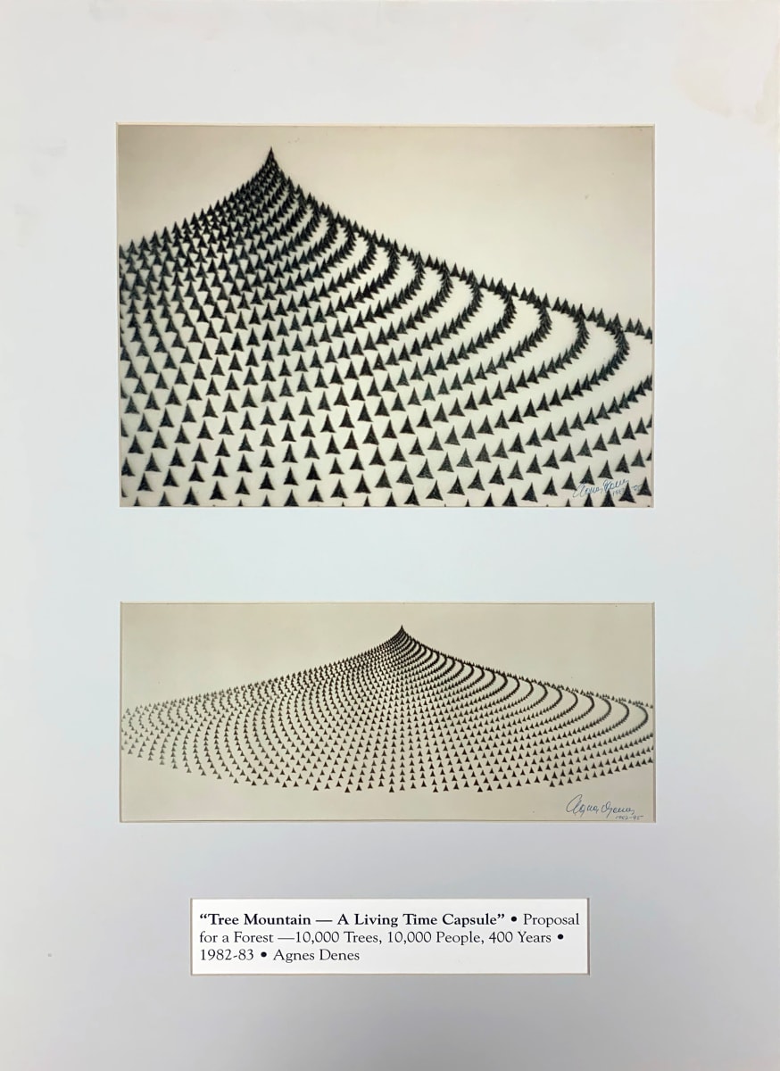 Tree Mountain - A Living Time Capsule by Agnes Denes, Image 1.
