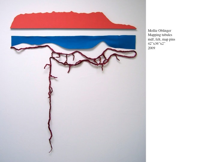 Mapping Tubules (mapping tubules?) by Mollie Oblinger 