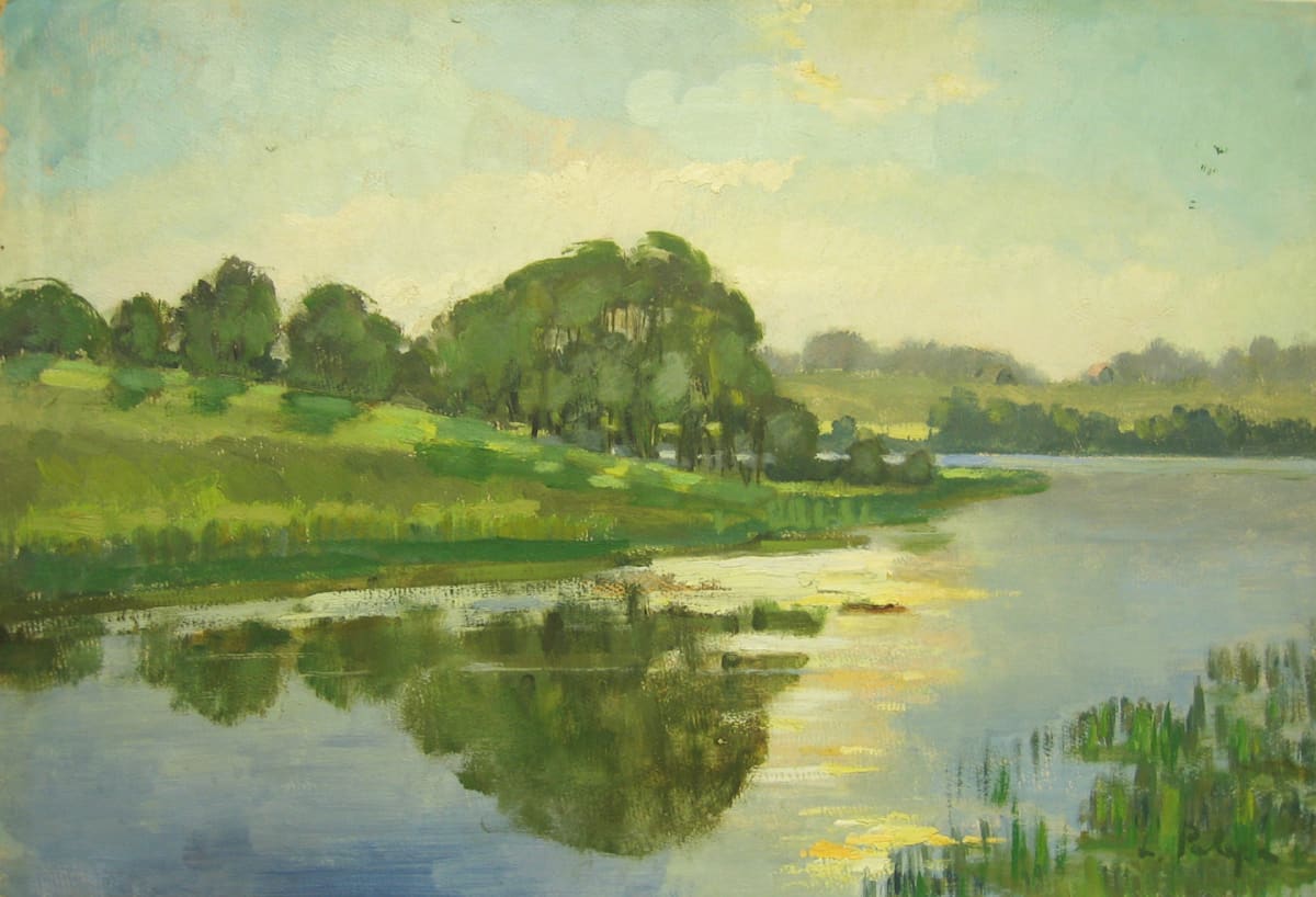 Summer Reflection by Lidija Paleps 