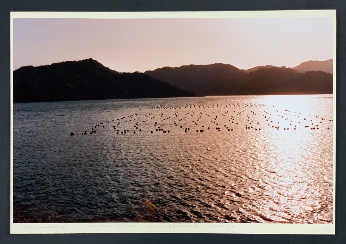 Evening at Kochi Bay by Eva Choung-Fux 