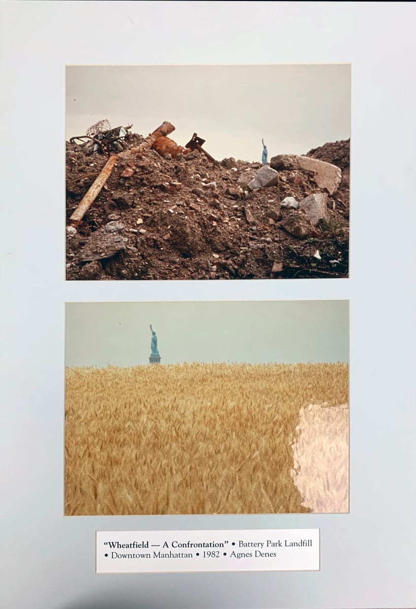 Wheatfield - A Confrontation by Agnes Denes 