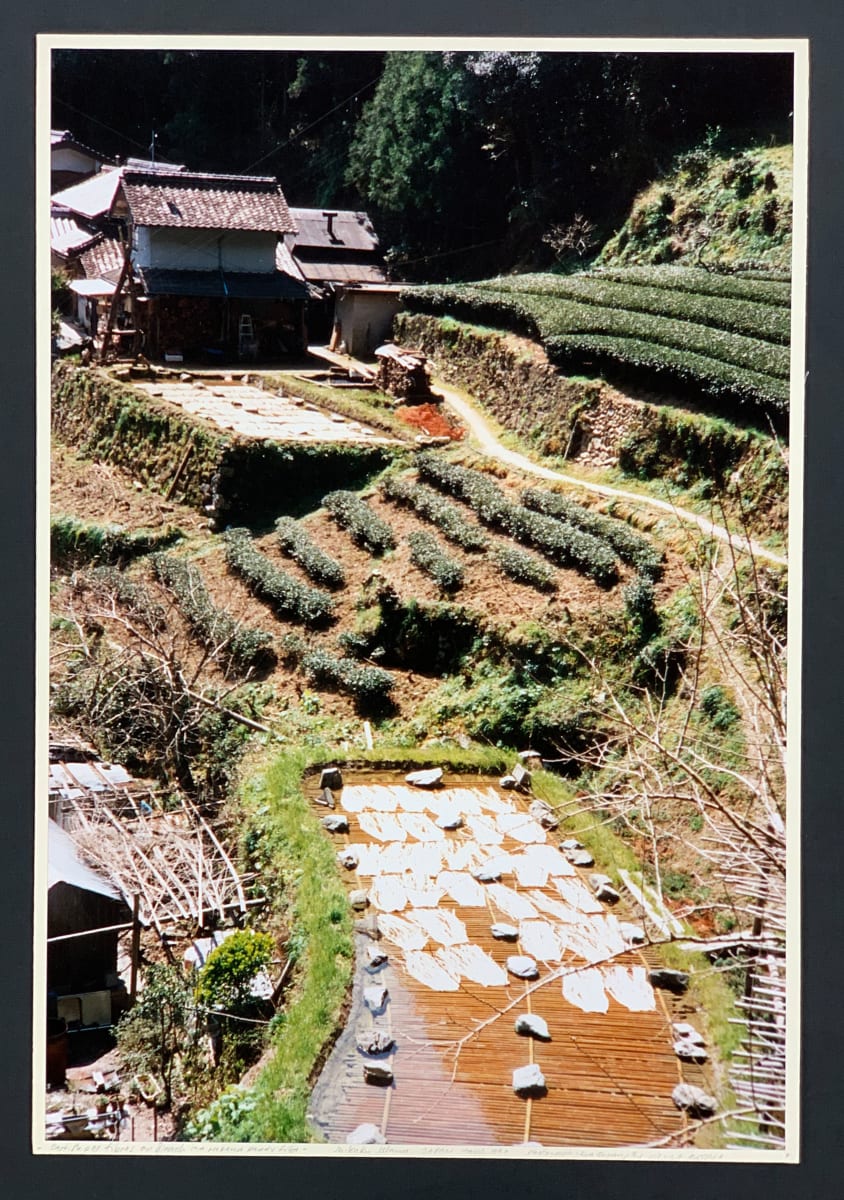 Bast Paper Fibres on Bleach in a Prepared Paddy Field by Eva Choung-Fux 