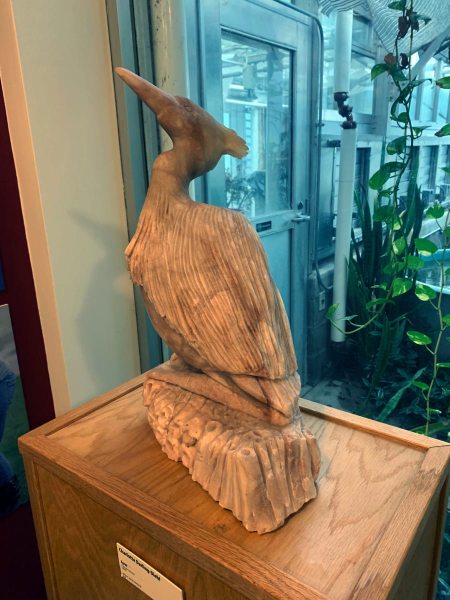 Egret by Charlotte Darling-Diehl 