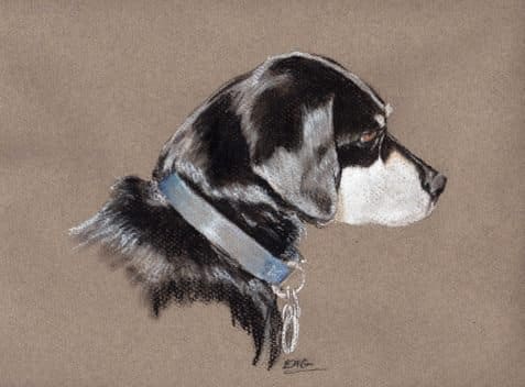 "Micki" by Elizabeth Stathis   Image: Manchester Terrier/Cocker Spaniel mix with shiny black fur. Pastel on pastel paper. 10" x 10".