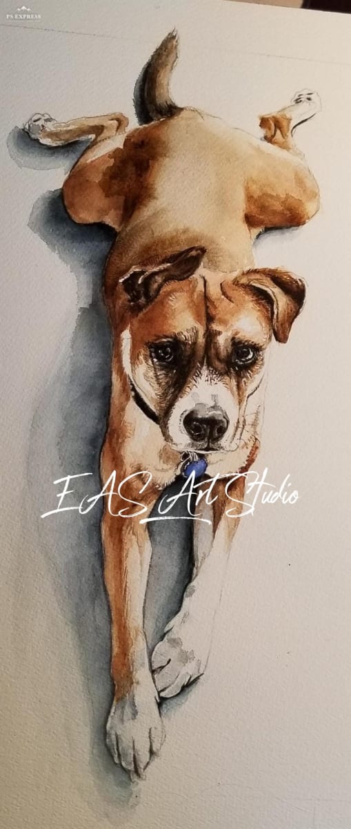 "Evvie" by Elizabeth Stathis   Image: Evvie; Pit Bull, Husky, Dirndl mix prone to disappearing for hours or days in long distance adventures that takes her miles away from home, yet always finds her way back.
