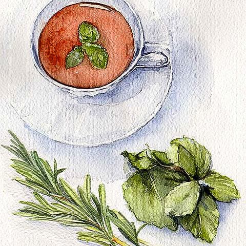 "Mint Tea and Rosemary" by Elizabeth Stathis   Image: Watercolor still of mint, tea, and rosemary to depict the contents of complimentary Hotel Toiletry items for a company that supplied hotels with these articles.