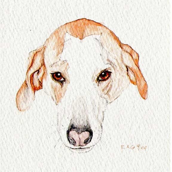 "Chancey" by Elizabeth Stathis   Image: "Chance, The Runaway Dog"