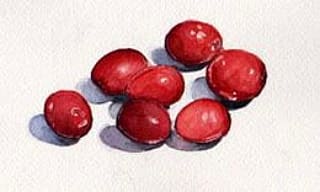 "Cranberries" by Elizabeth Stathis   Image: Watercolor still life of fresh cranberries used to illustrate the contents on the packaging of complimentary hotel toiletry items for a company that supplied hotels with these articles.