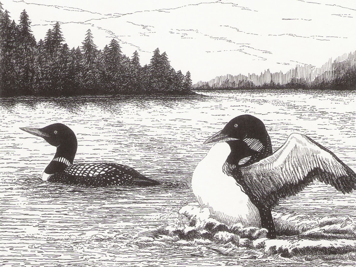 Loons on a Lake by Elizabeth Stathis   Image: A Pen & Ink rendering of loons that were sighted on Squam Lake. This lake is known as "Golden Pond" as it was the pond that was filmed in the movie, "On Golden Pond" with Henry and Jane Fonda.