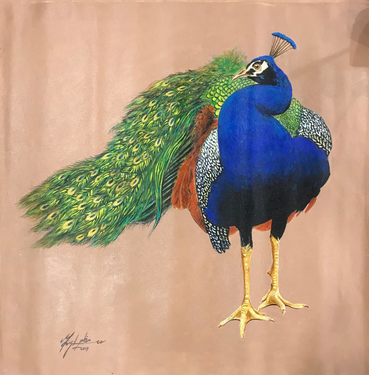 Regal Beauty by Mazher Nizar 