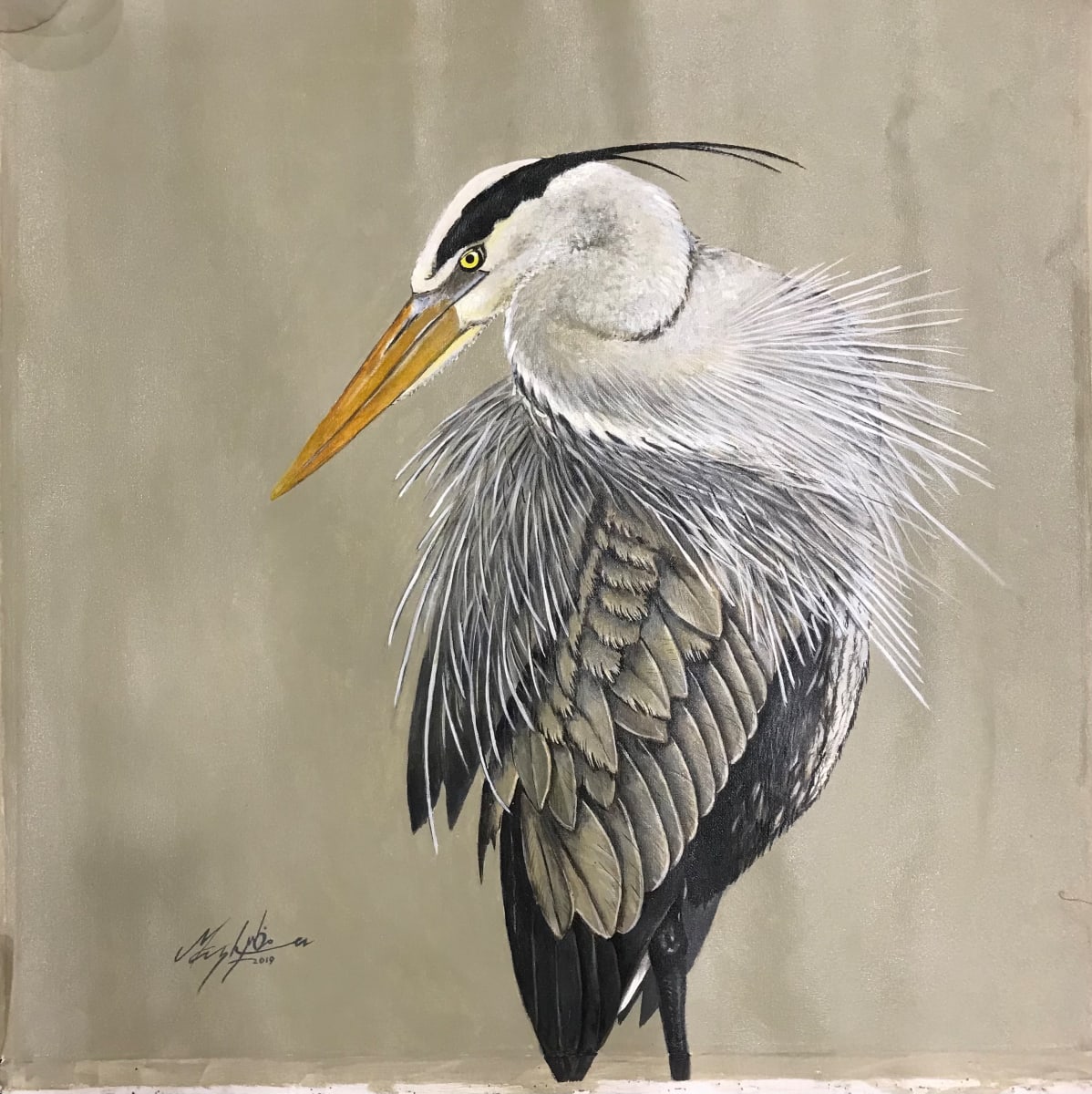 Grey Heron by Mazher Nizar 