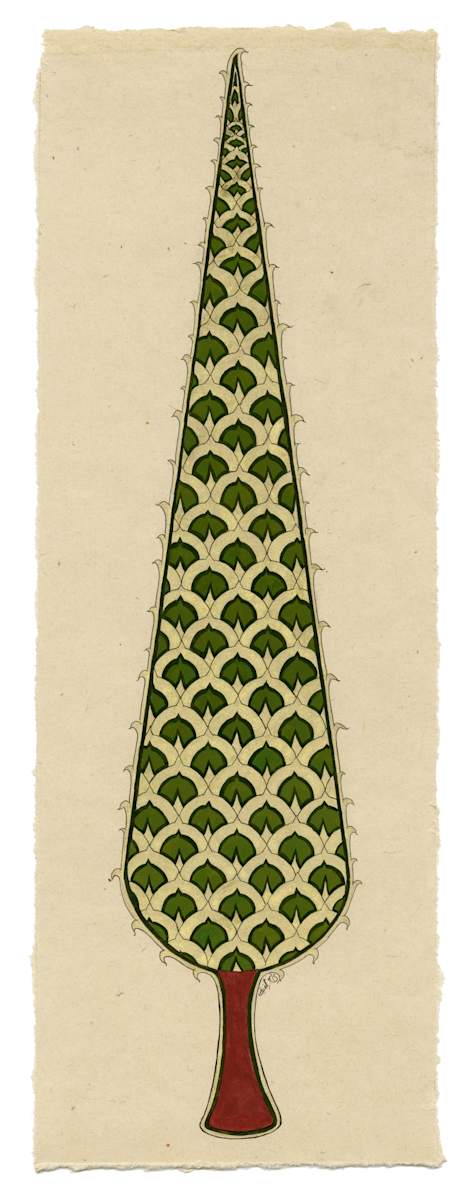 Baqaa by Alefiya Abbas Ali 