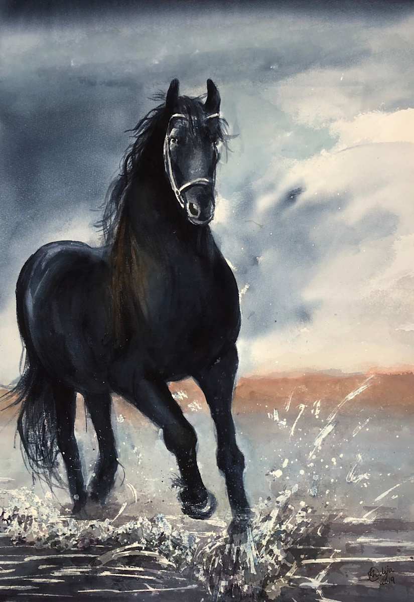 Black Beauty by Khadija Karachiwala 