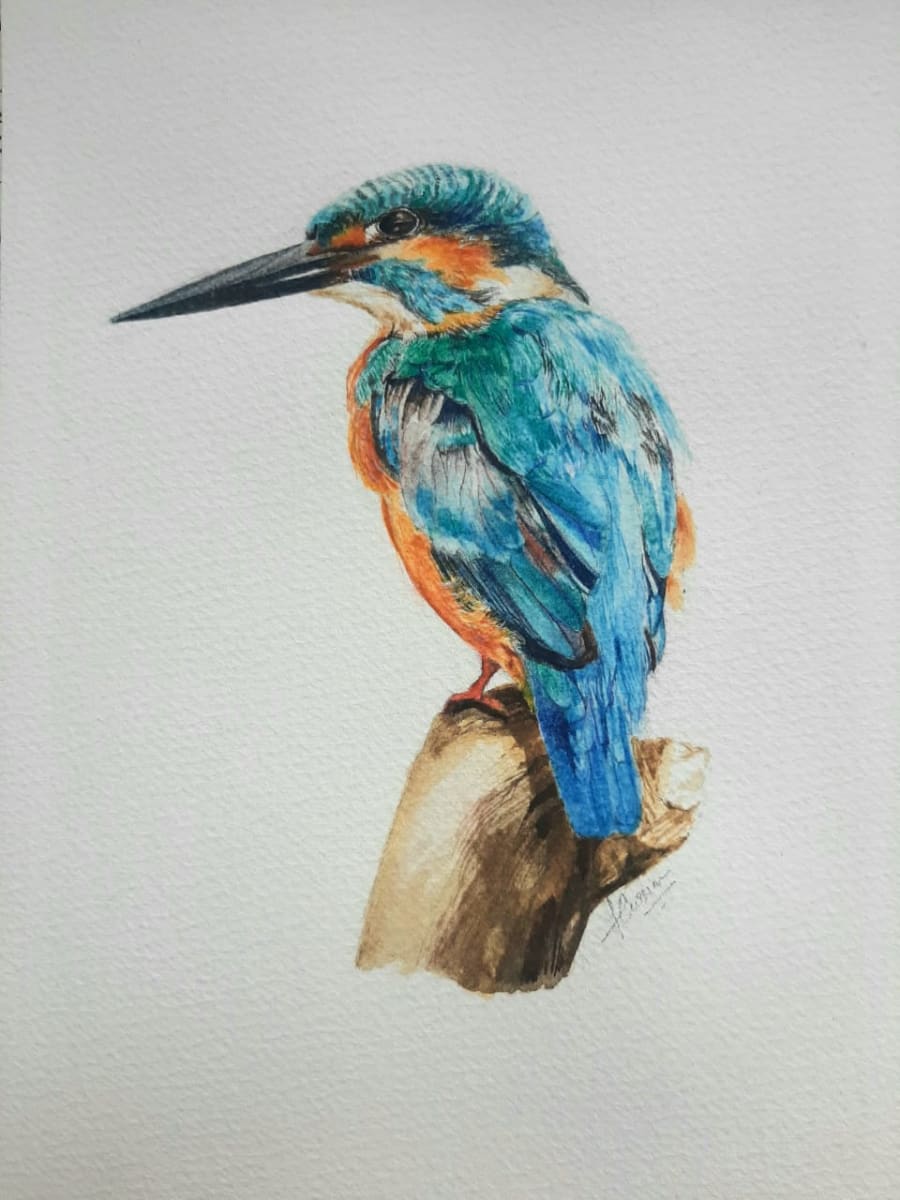 Kingfisher by Fatema Currim 