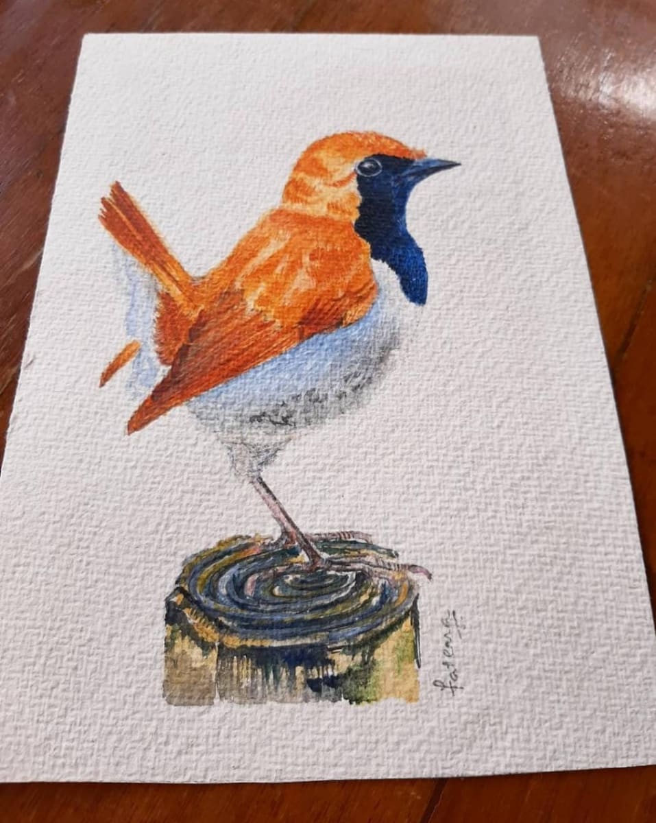 Ryukyu Robin by Fatema Currim, Image 1.