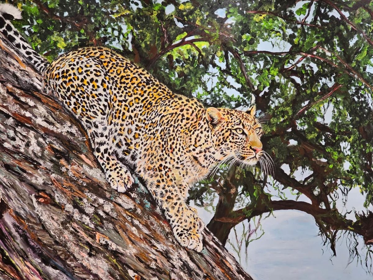 Forest Phantom by Samina Sachak 