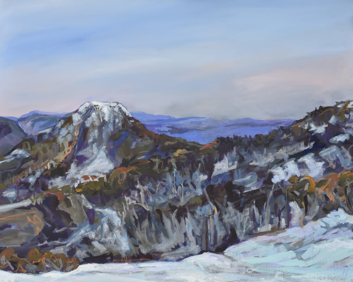 Early Snow Little Buller by Wendy Jagger 