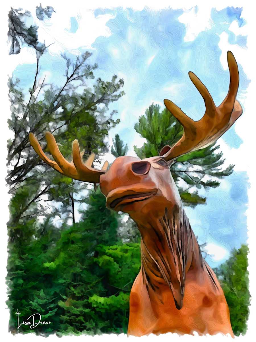 Minnesota Moose by Lisa Drew | Available Printed Inventory, Image 1.