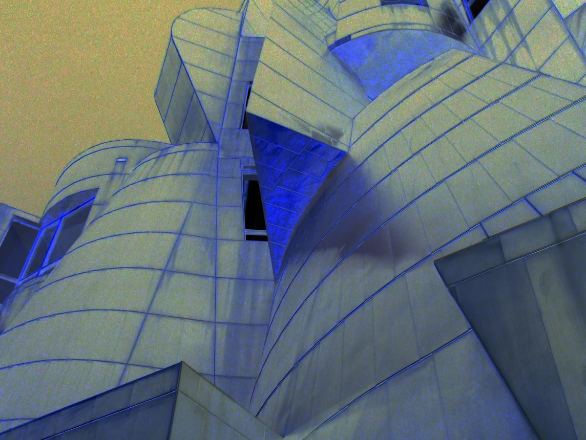 The Three Weisman Series: Night Vision by Lisa Drew  Image: Night Vision by Lisa Drew Photo Artist
