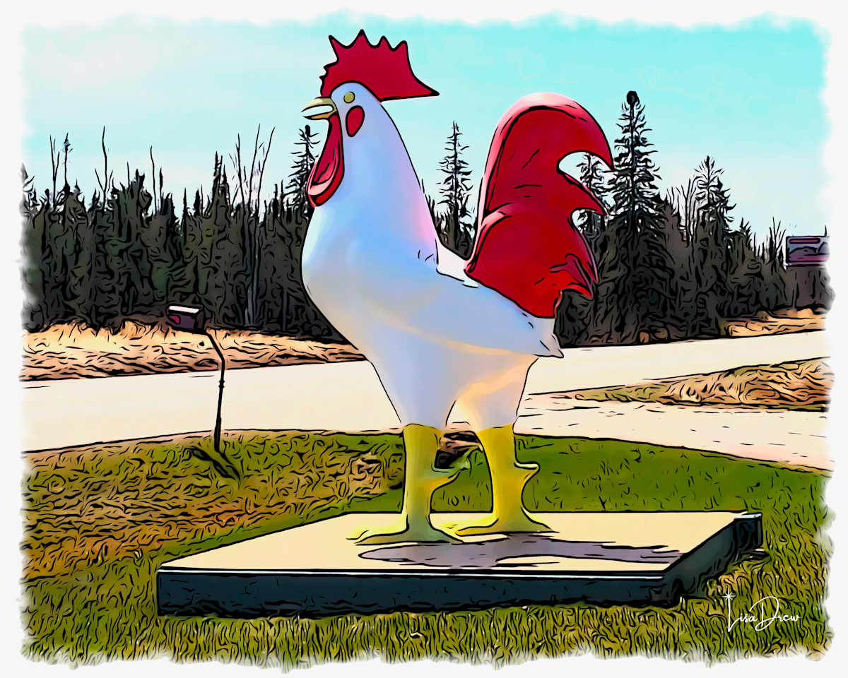 Why did the Chicken cross the road? by Lisa Drew | Available Printed Inventory 