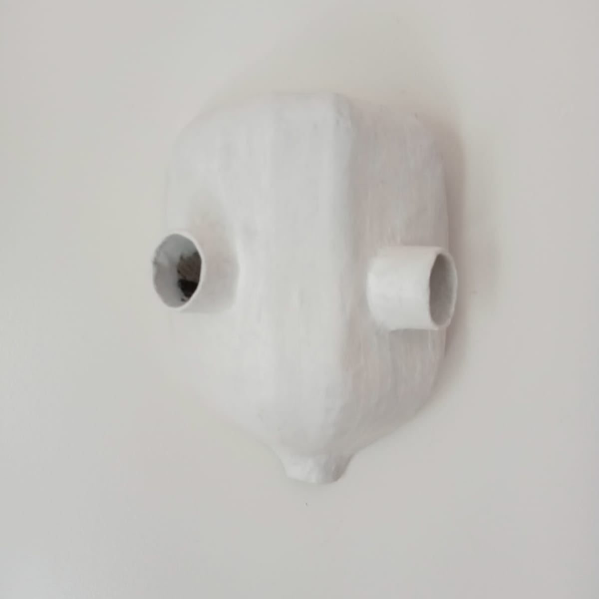 Lops-Eyed-It! by Mareshah Yisrael, Image 2.