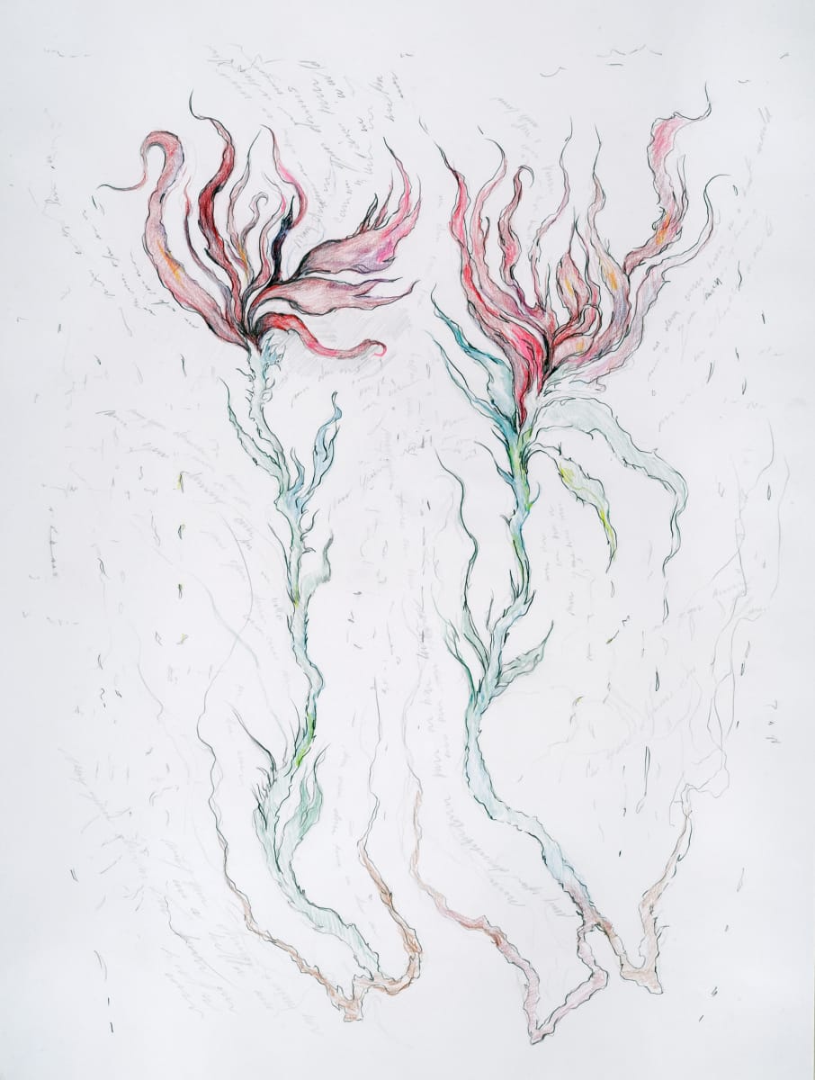 Dreams.01 by Mary Higgins  Image: Dreams.01