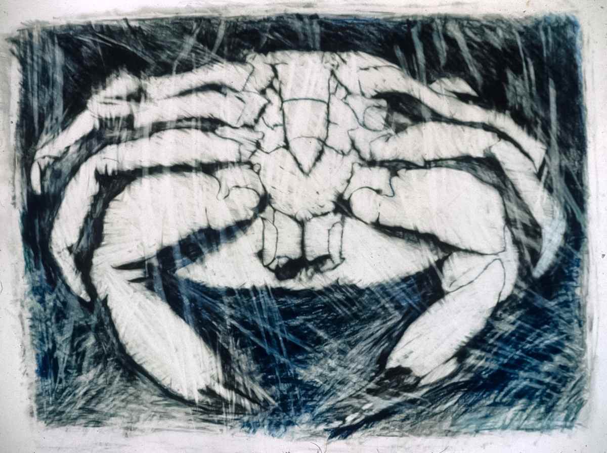 Crab by Mary Higgins, Image 1.