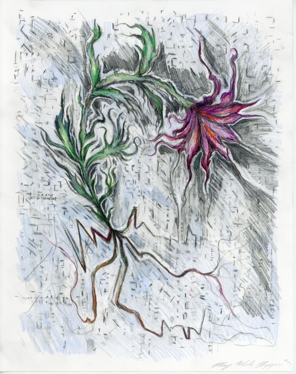 Winter Meadow.01 by Mary Welch Higgins  Image: Winter Meadow.01 