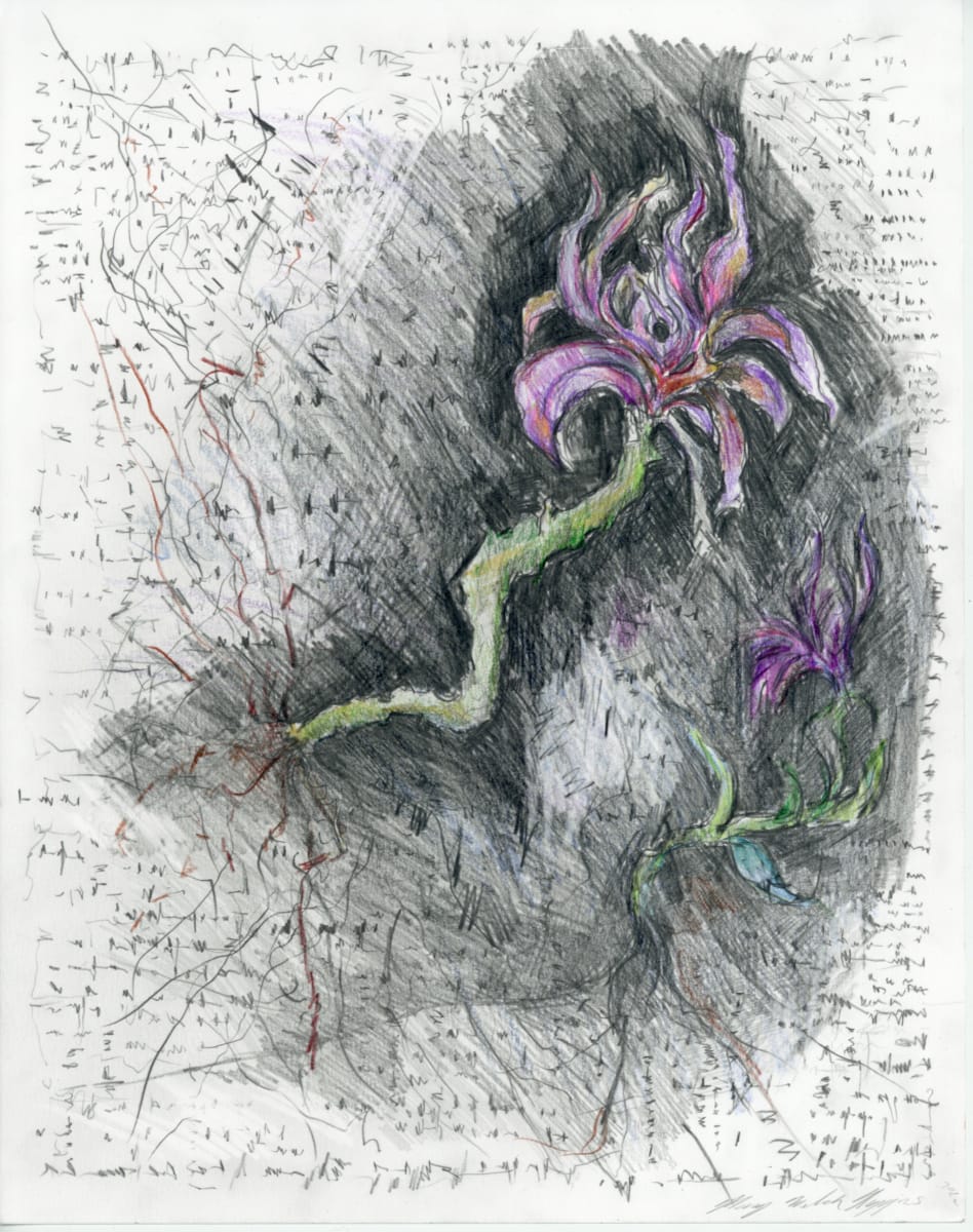 Winter Meadow.02 by Mary Welch Higgins  Image: Winter Meadow.02
