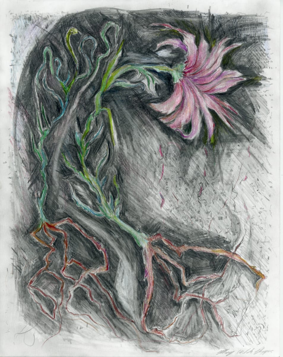 Winter Meadow.04 by Mary Welch Higgins  Image: Winter Meadow.04