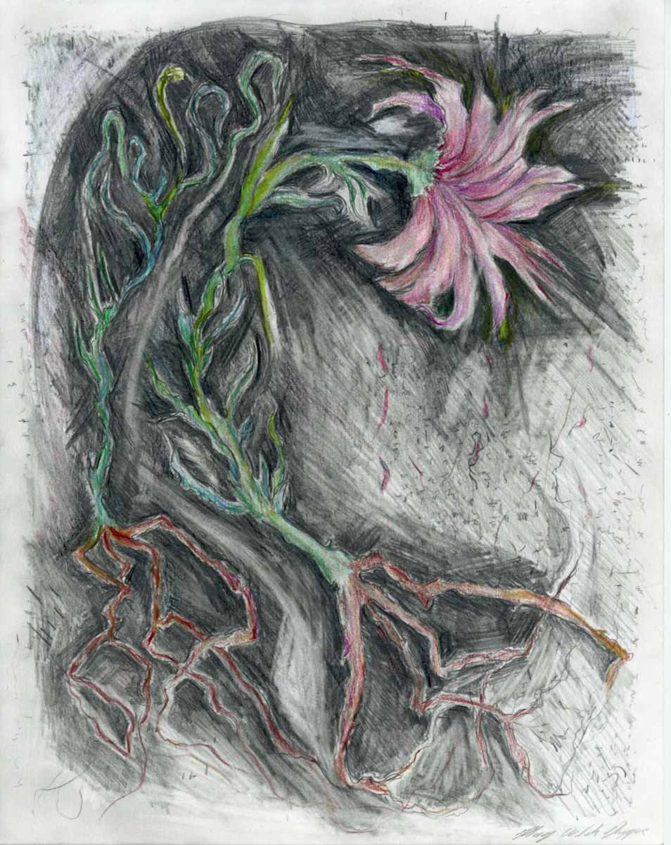Winter Meadow.04 by Mary Welch Higgins, Image 2.