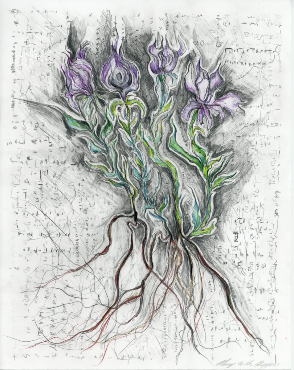 Winter Meadow.05 by Mary Welch Higgins  Image: Winter Meadow.05