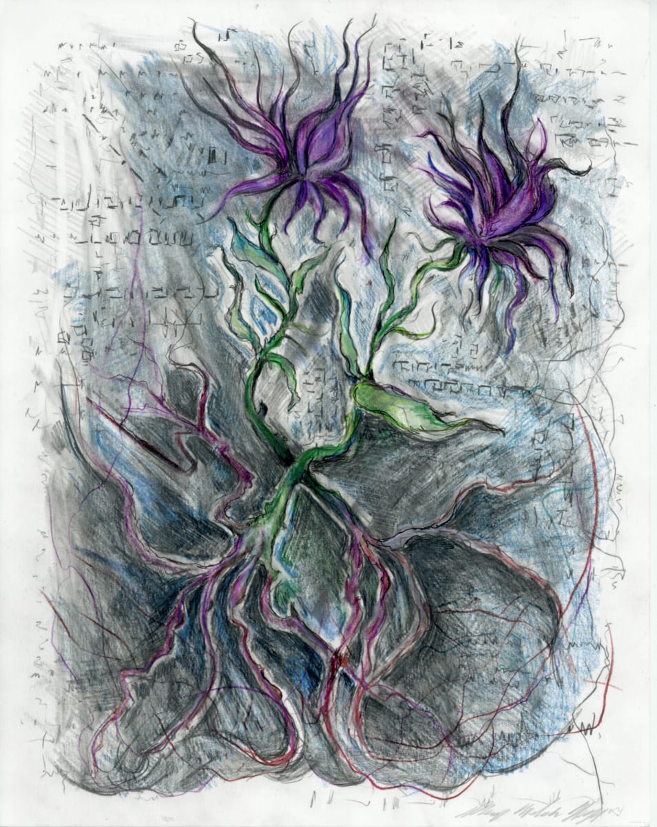 Winter Meadow.08 by Mary Welch Higgins  Image: Winter Meadow.08