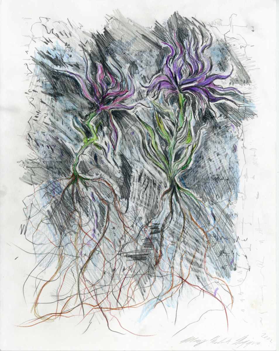 Winter Meadow.10 by Mary Welch Higgins, Image 6.