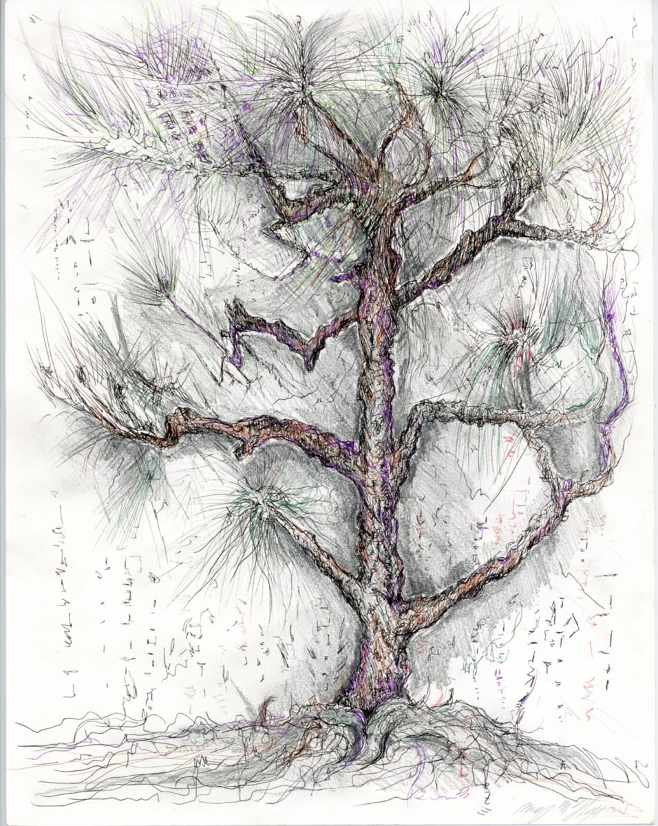 Seoul in Winter.Tree.05 by Mary Welch Higgins  Image: Seoul in Winter.Tree.05