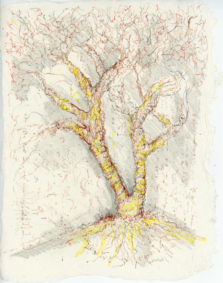 Straw Wrapped Tree.sketch.02 by Mary Higgins  Image: Straw Wrapped Tree.sketch.02