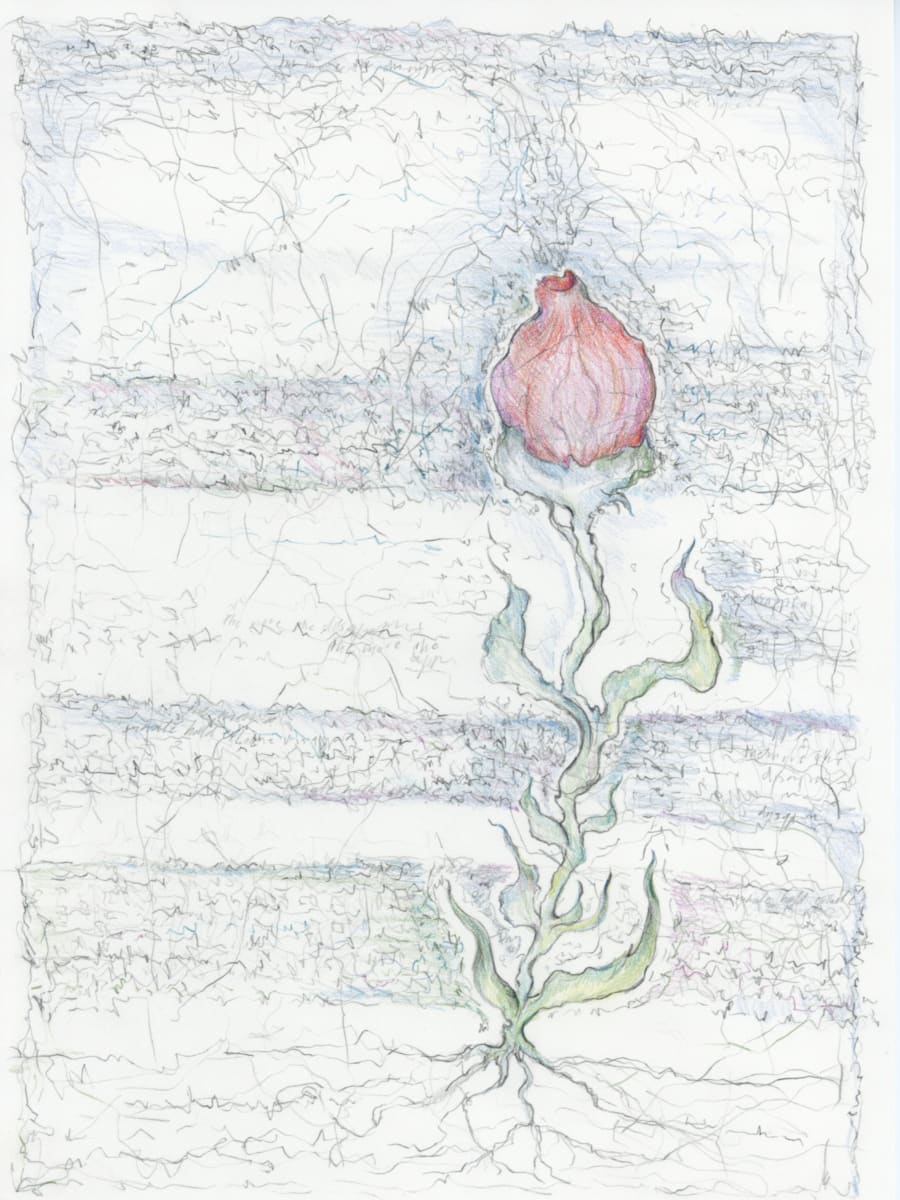 Manuscript #8 by Mary Higgins  Image: Manuscript #8