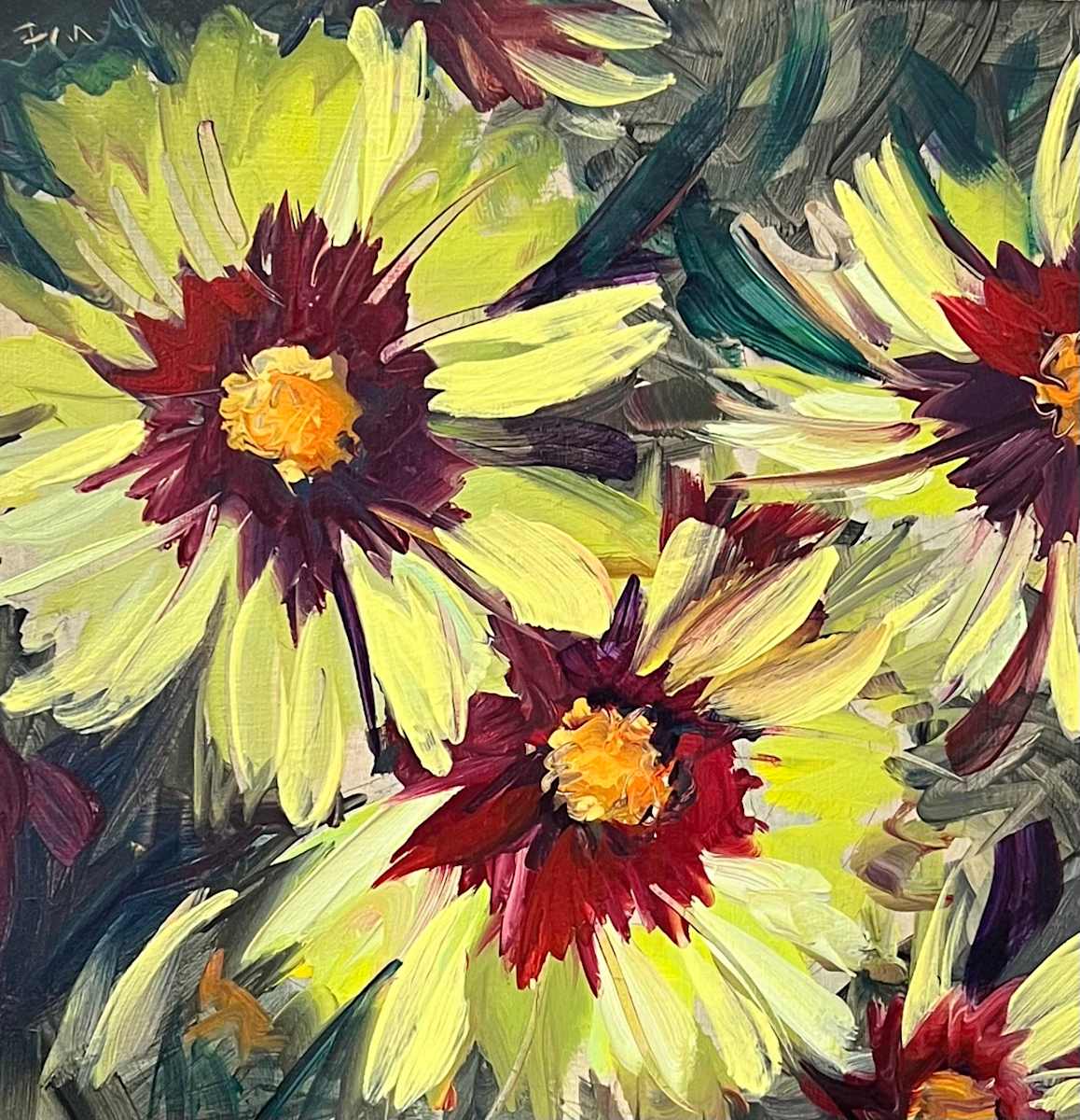 Coreopsis Cornucopia by Patti McNutt 